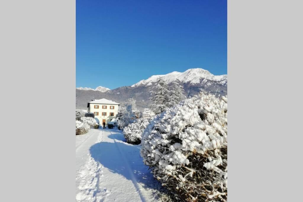 Villa Perale: La Tua Casa Alle Pendici Delle Dolomiti Belluno Exterior photo